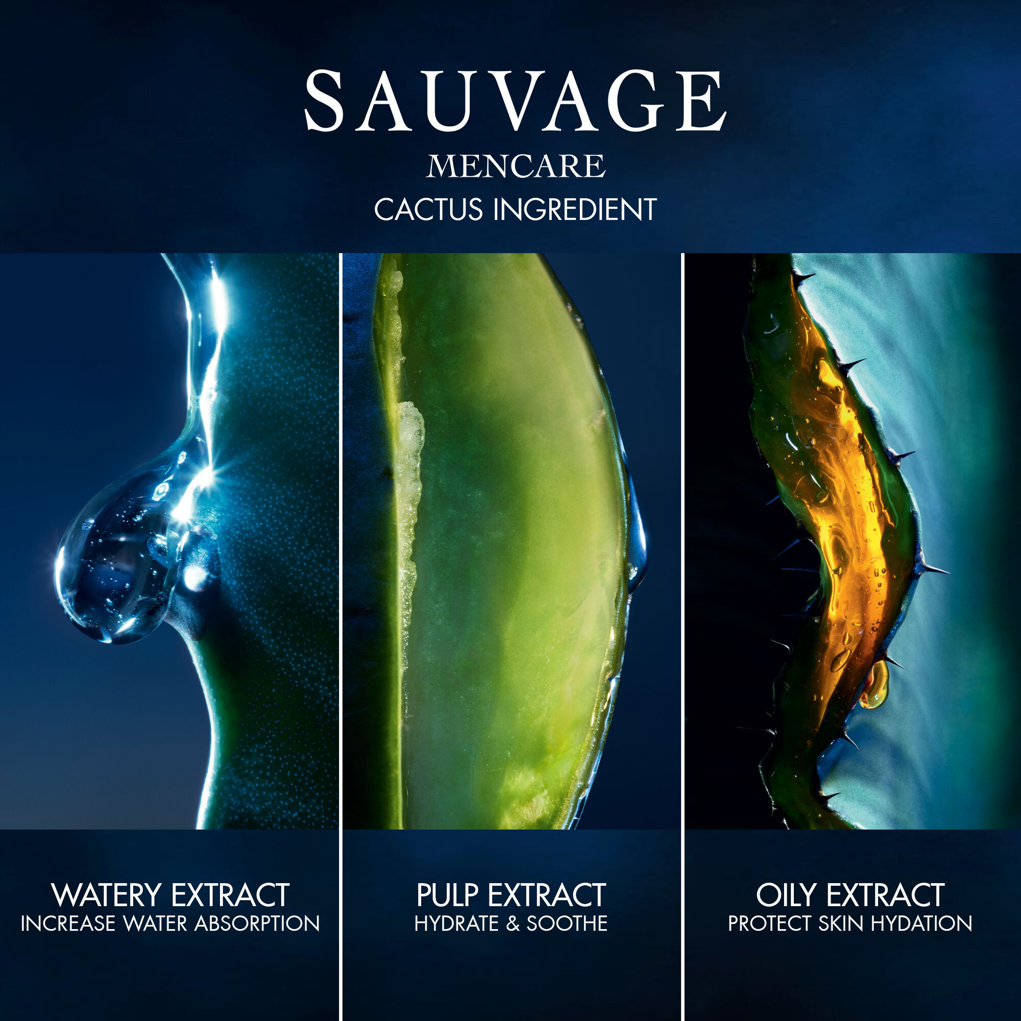 KIT DE CUIDADO FACIAL SAUVAGE (SET DE CUIDADO FACIAL)